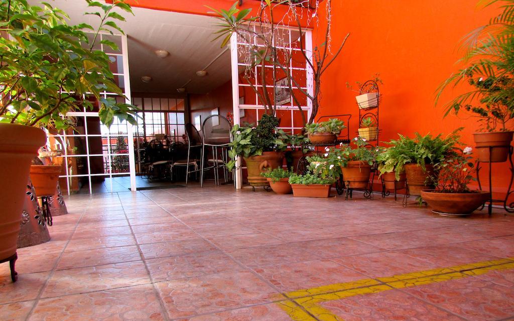 Hotel Camba Oaxaca Экстерьер фото